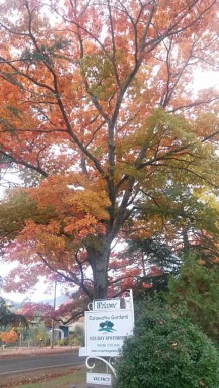 Вилла Carawatha Gardens Брайт Номер фото